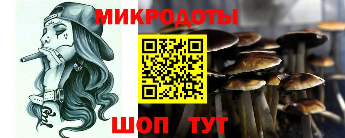 Псилоцибиновые грибы GOLDEN TEACHER Ишимбай